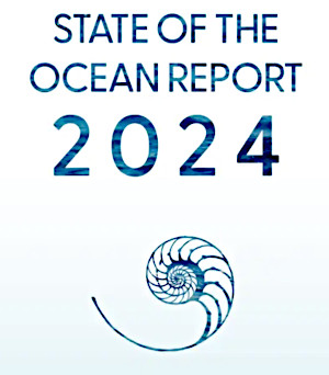 Logo State of the Ocean Report 2024